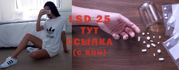 ГАЛЛЮЦИНОГЕННЫЕ ГРИБЫ Балахна