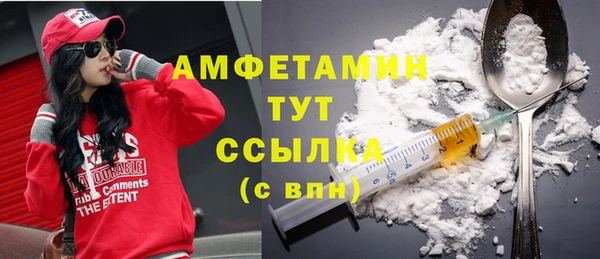ГАЛЛЮЦИНОГЕННЫЕ ГРИБЫ Балахна