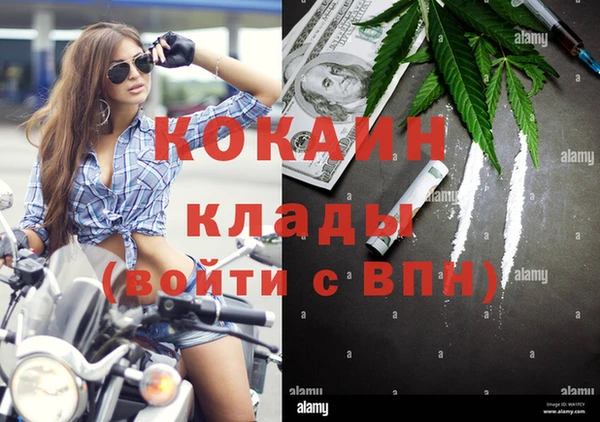 ГАЛЛЮЦИНОГЕННЫЕ ГРИБЫ Балахна