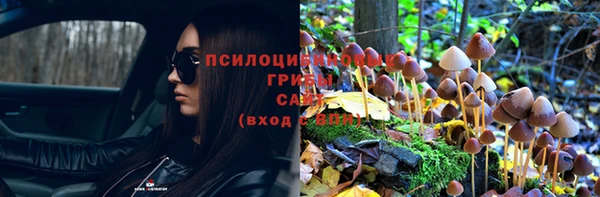сатива Балабаново