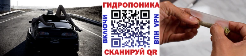 Конопля гибрид Бологое